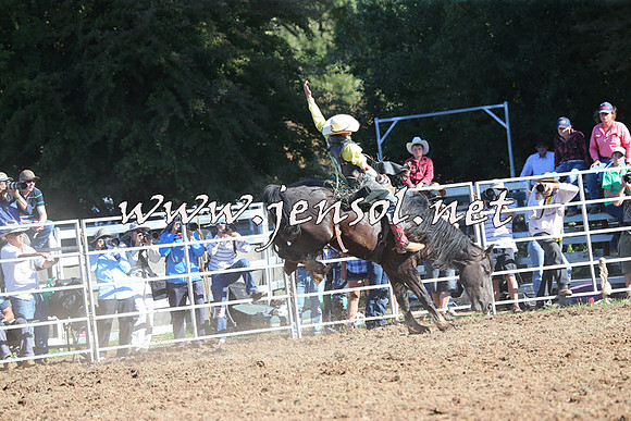 Taralga2015_5792