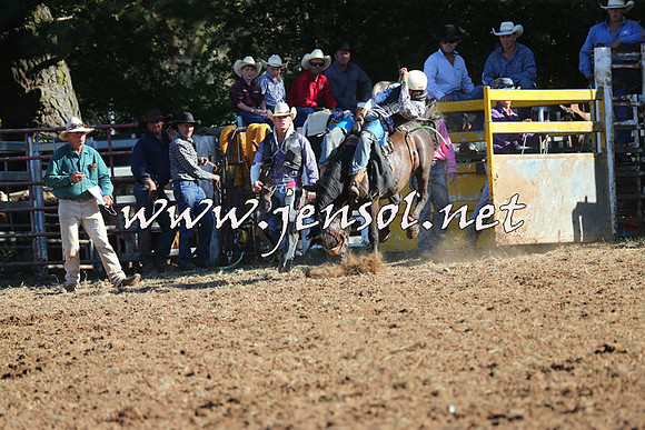 Taralga2015_5822
