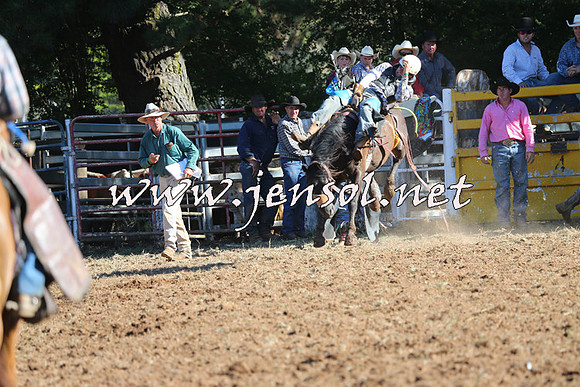 Taralga2015_5839
