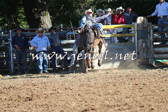 Taralga2015_5689