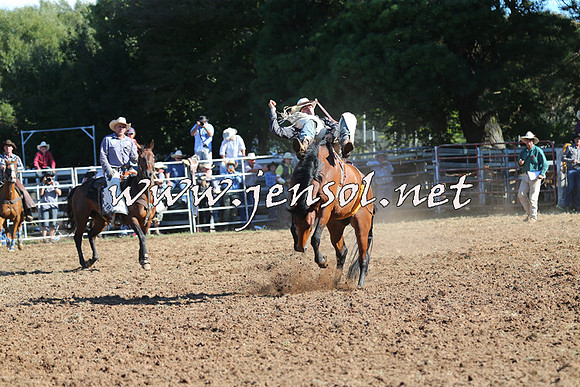 Taralga2015_5544