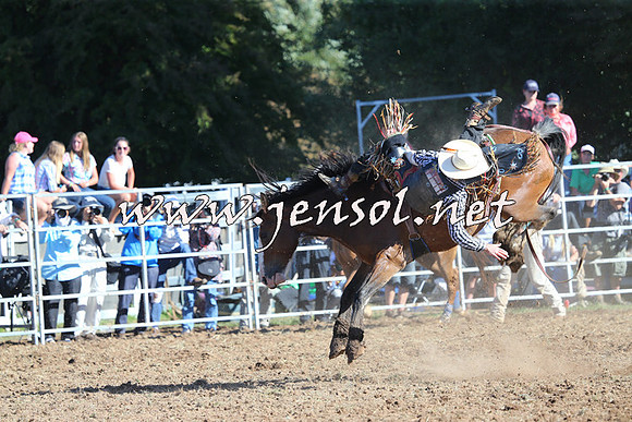 Taralga2015_5446