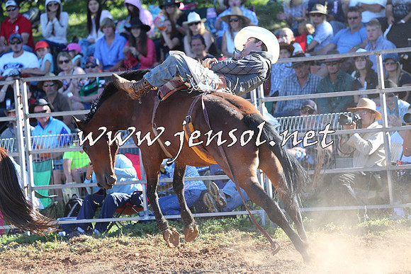 Taralga2015_5586