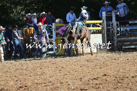 Taralga2015_5831