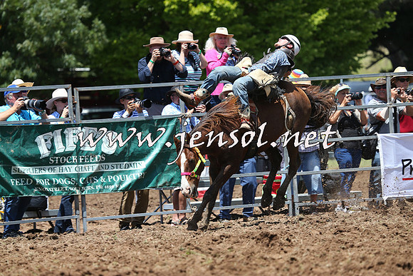 Taralga2015_3711