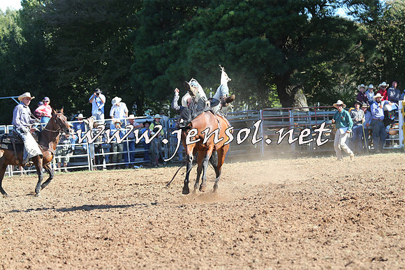 Taralga2015_5553