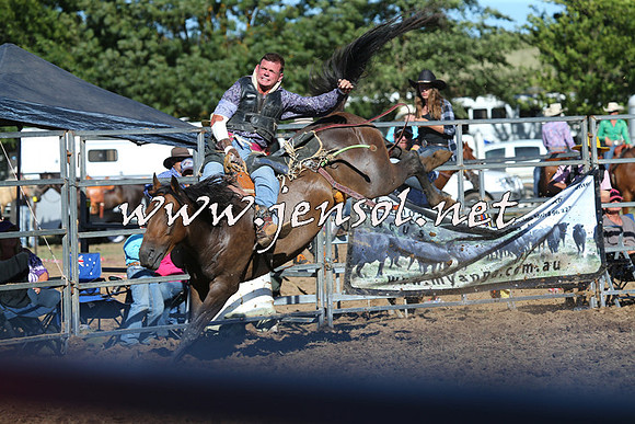 Taralga2015_5737