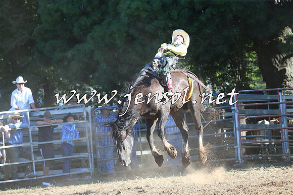 Taralga2015_5798
