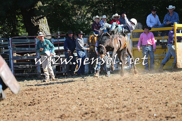 Taralga2015_5824