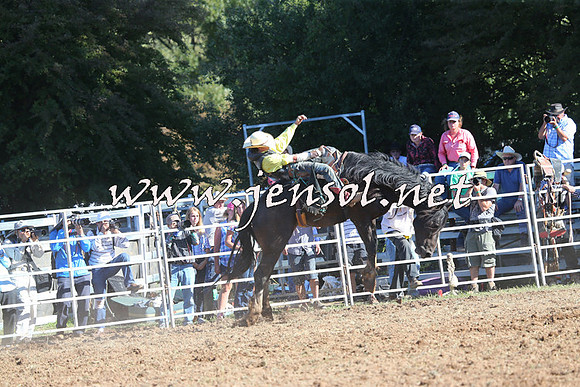 Taralga2015_5797