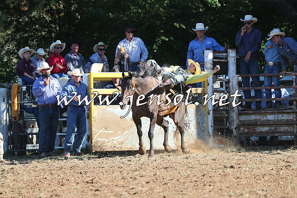 Taralga2015_5470