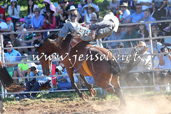 Taralga2015_5584