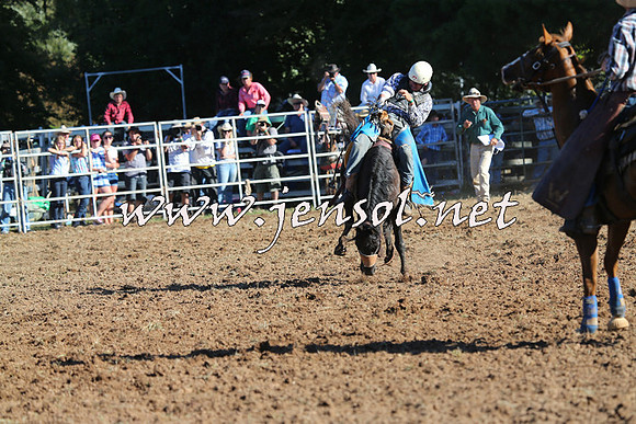 Taralga2015_5845