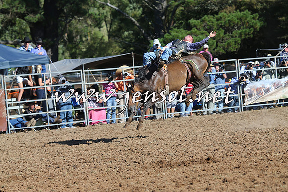 Taralga2015_5718