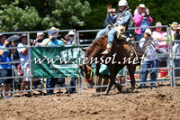 Taralga2015_3709