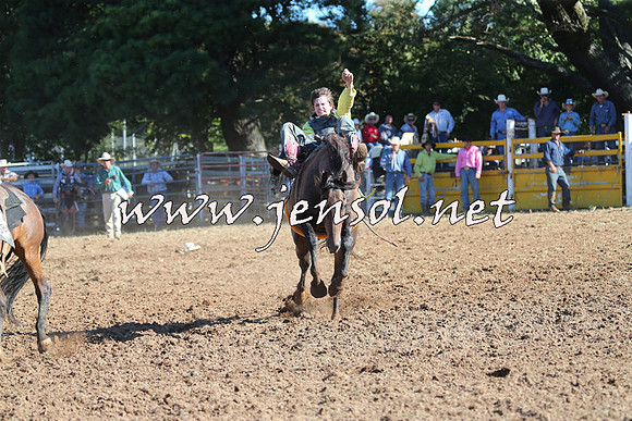 Taralga2015_5501
