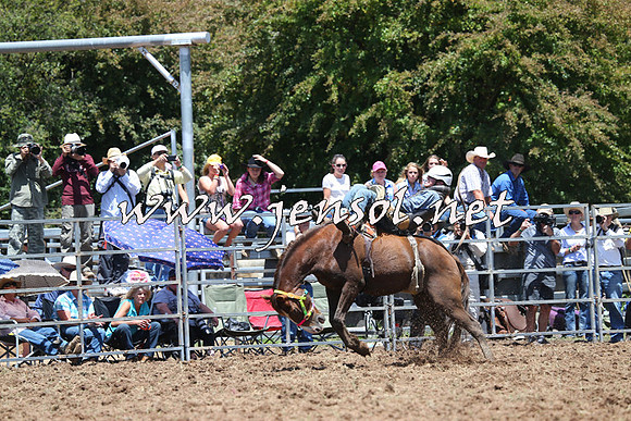 Taralga2015_3704