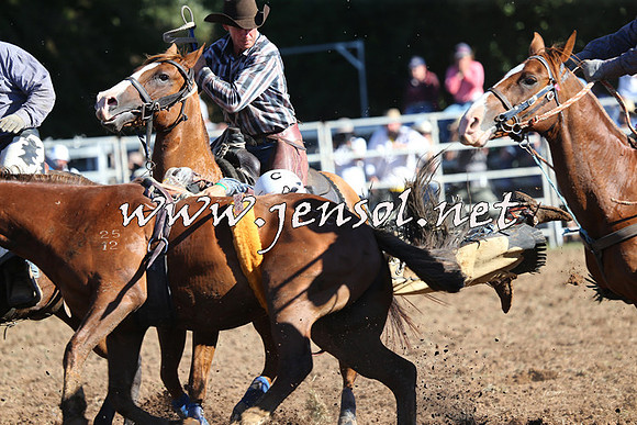 Taralga2015_5672