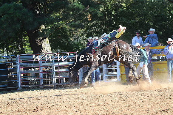 Taralga2015_5753