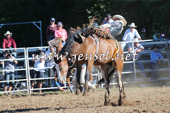 Taralga2015_5443