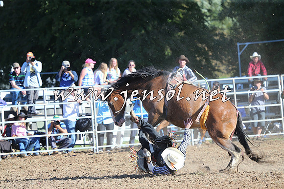Taralga2015_5464