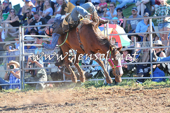 Taralga2015_5641