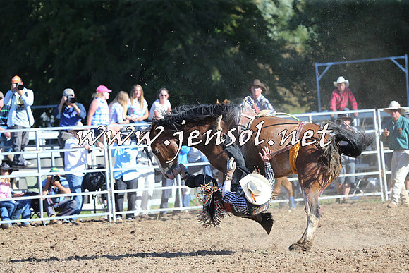 Taralga2015_5465