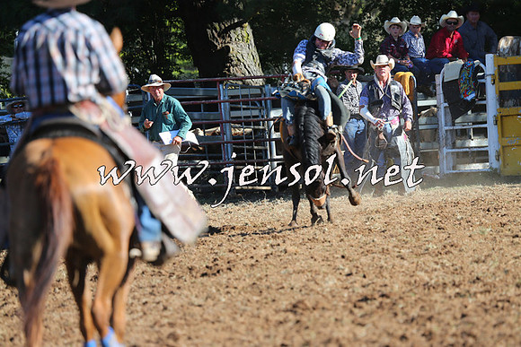Taralga2015_5836