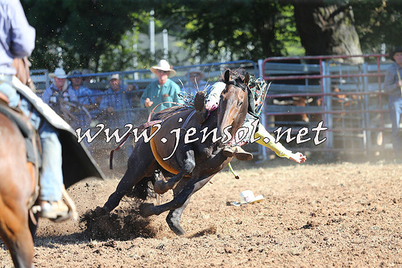 Taralga2015_5490