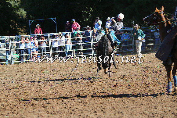 Taralga2015_5844