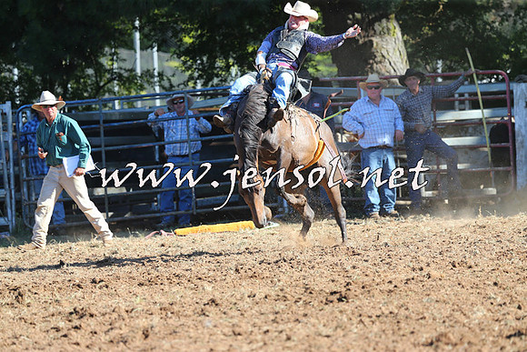 Taralga2015_5681