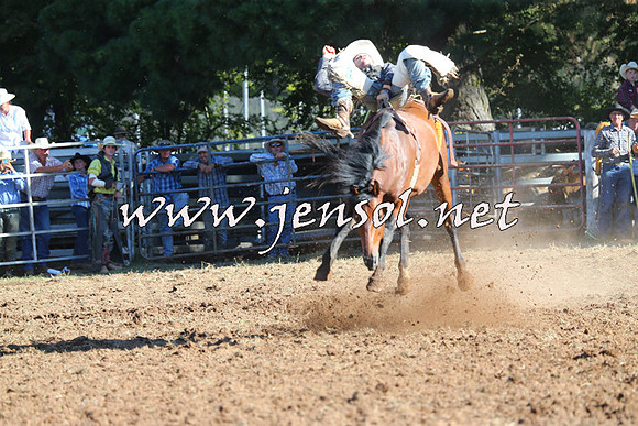 Taralga2015_5532