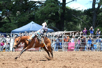 Taralga2015_3691
