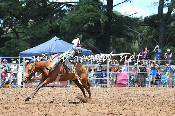 Taralga2015_3691