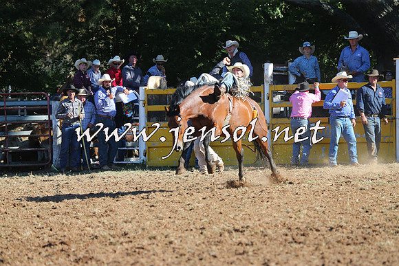 Taralga2015_5524
