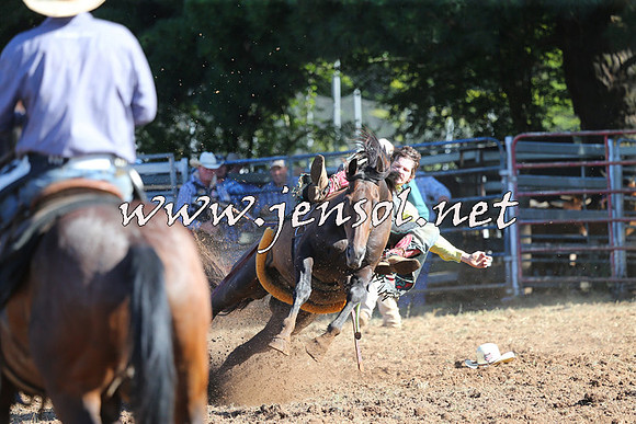 Taralga2015_5496