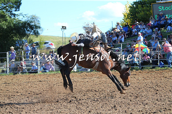Taralga2015_5573