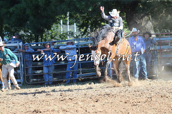 Taralga2015_5439