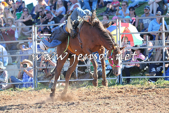 Taralga2015_5639