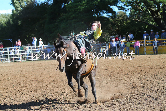 Taralga2015_5515