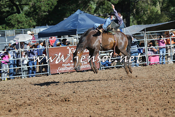 Taralga2015_5717