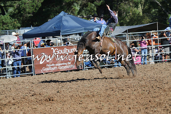 Taralga2015_5721