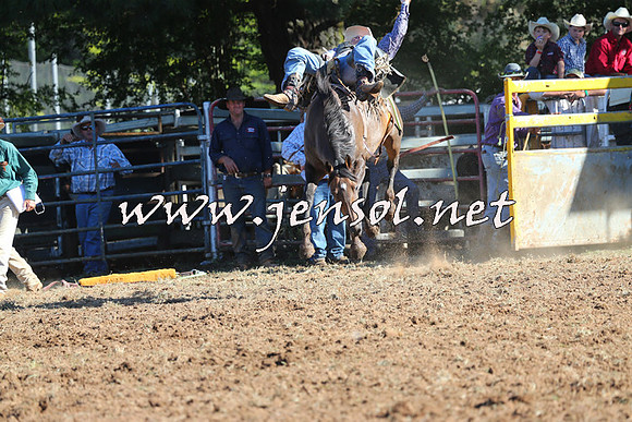 Taralga2015_5694
