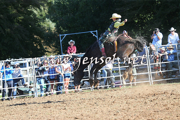 Taralga2015_5758