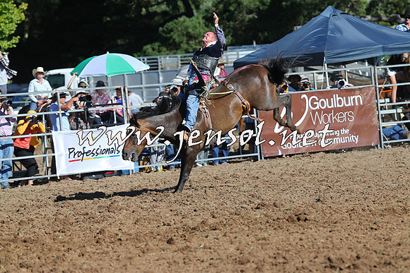Taralga2015_5711