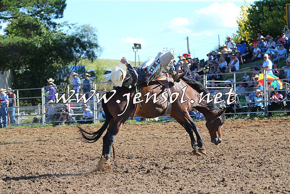 Taralga2015_5575