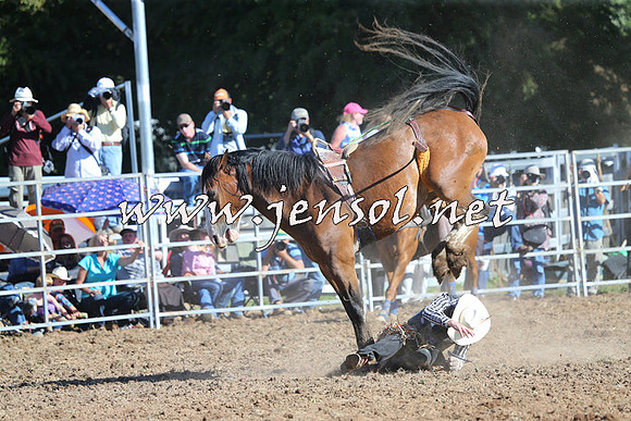 Taralga2015_5460