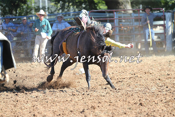 Taralga2015_5486