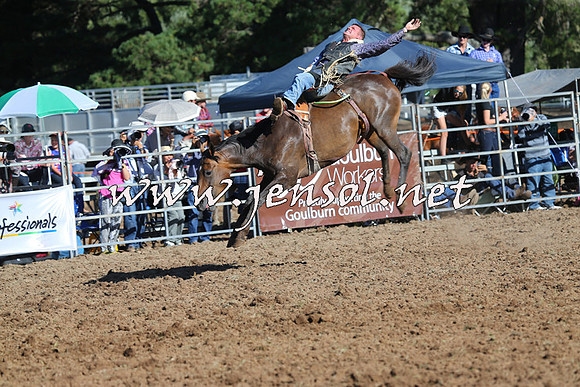 Taralga2015_5716