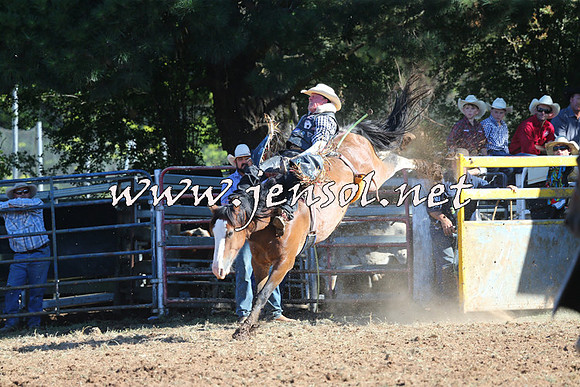 Taralga2015_5428